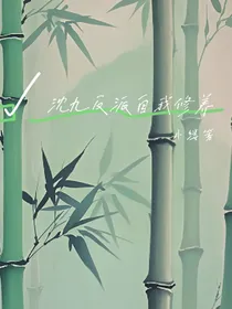 沈九反派自我修养