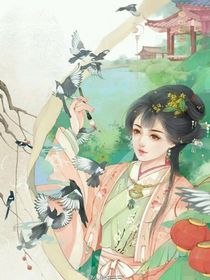 综影视：美人怜