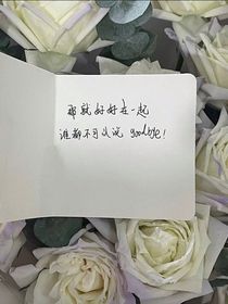 最后一次求你了