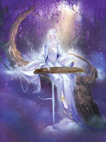 我在魔法世界的每一天