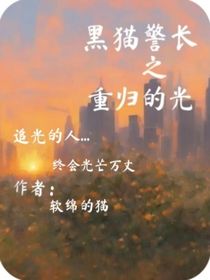 黑猫警长之重归的光