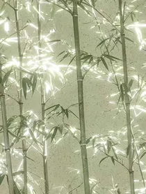 穿越修仙文了