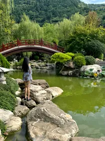 沼泽舞者（自传）