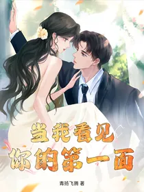 作品名：当我看见你的第一面