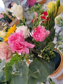 律师缱绻