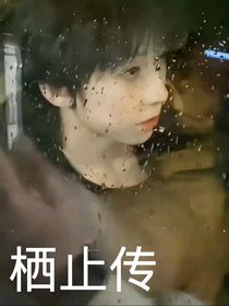 栖止传