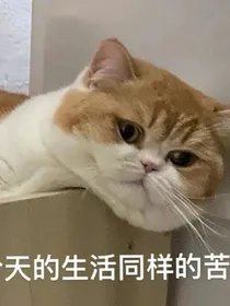 阳阳得意