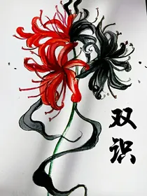 双识