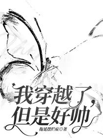 我穿越了，但是好帅
