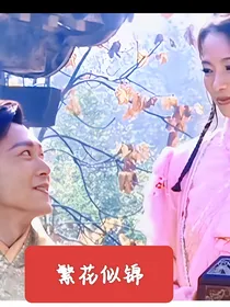 龙游天下之繁花似锦