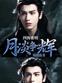 四海重明：月淡争辉