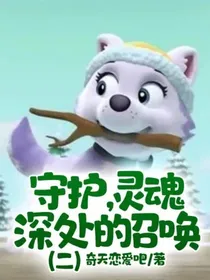 守护，灵魂深处的召唤（二）