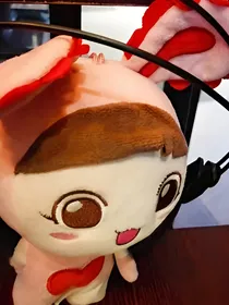 菁与迪的爱情故事