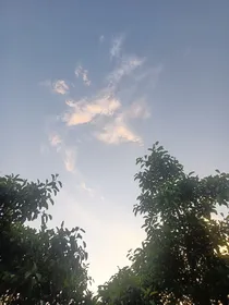 你若安好，舍命奉陪