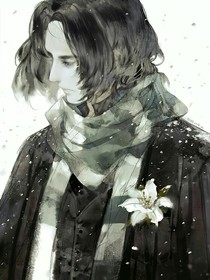HP：到魔法世界修仙怎么了？