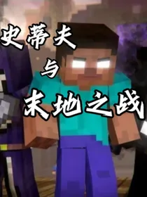 史蒂夫与末地之战