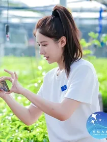 一不小心遇到爱情