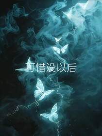 可惜没以后