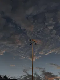 庆1之竹叶青