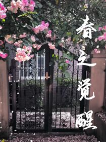 春之觉醒