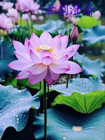 古剑澄清