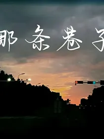 那条巷子