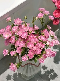 综影：任重道远