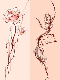 菟丝花还是红玫瑰