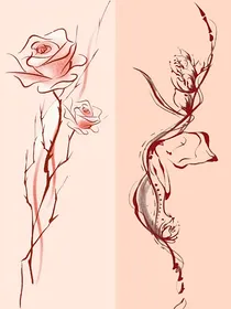 菟丝花还是红玫瑰