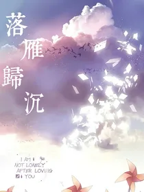 落雁归沉