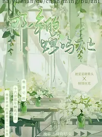 那一年的蝉鸣不止