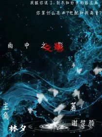 雨中之影