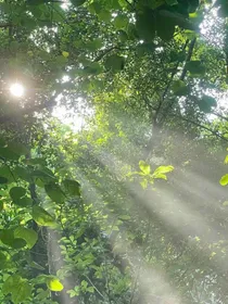 纪意恋夏