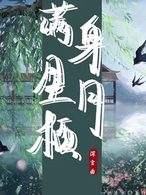 深宫曲：满身星月栖