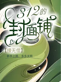 312的封面铺