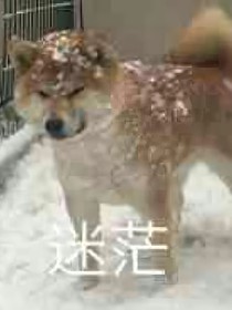 炮灰的生存攻略