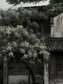 平淡婉霞