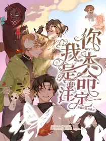 MCYT：你我本是命中注定