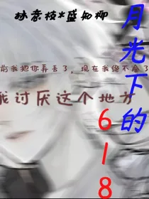 月光下的618
