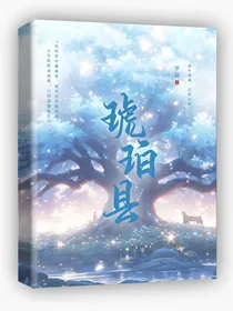 琥珀县