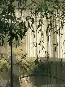 新的希望（葫芦）