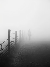 雾：追寻