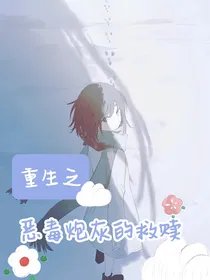 重生之恶毒炮灰的救赎