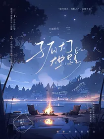 孤灯烛影