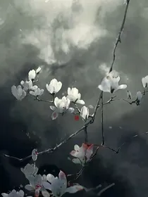 综视：美人不好惹