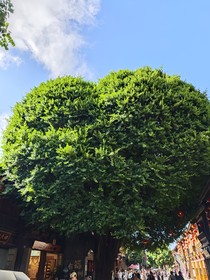 爱上学妹姐姐的理由