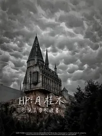 HP：月桂木