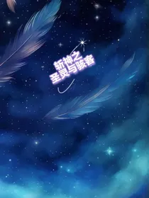 斩神之圣灵与骇客