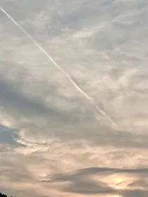 机器人是alpha放在你身边的监视器