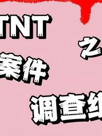 TNT之案件调查组